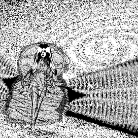 Рожденная в волнах