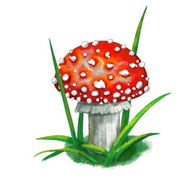 Мухомор 