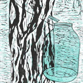 Берёзовый сок