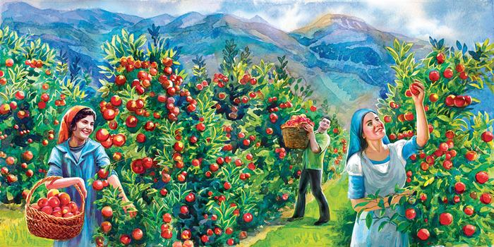 разворот буклета о саде