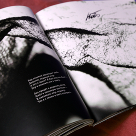 Книга. Сборник стихов. Автор Сольский А.Д._17