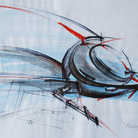 Скейч "Насекомое"