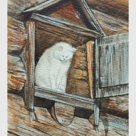 Полуденный кот