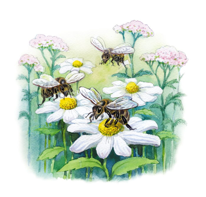 к рассказам 