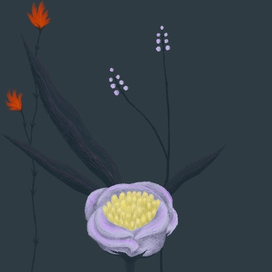 Просто как пример принта