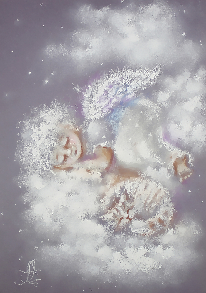 Пушистые сказки. Снежные сны