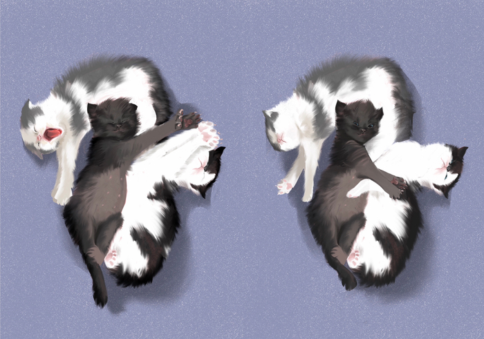 Ребятки котятки 