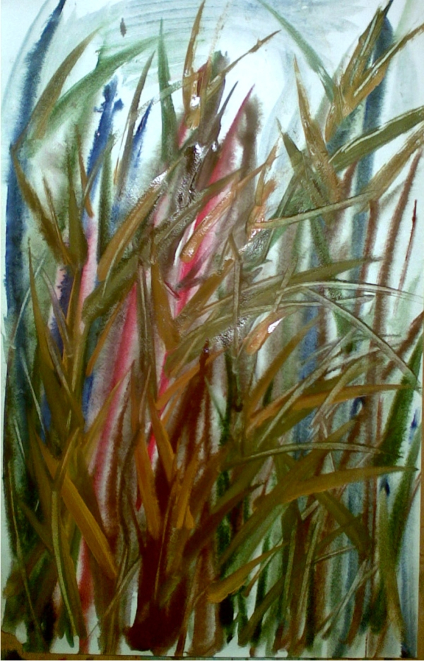 Сватовские камыши. Кыля