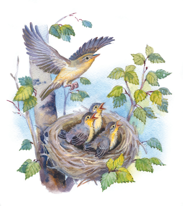 Прощание с подкидышем