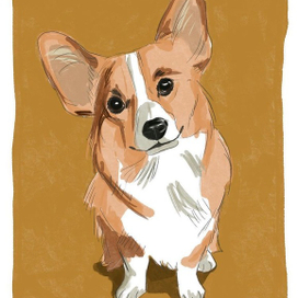 Открытка С Днём Рождения из серии «Собаки»