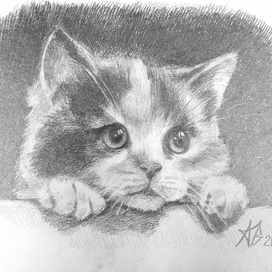 Милые и пушистые