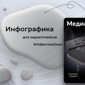 Инфографика