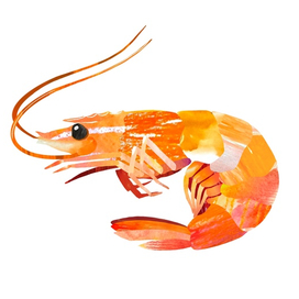 Коллаж с креветкой