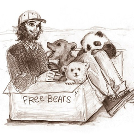 Обычные медведи