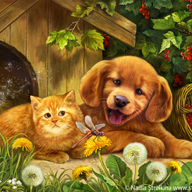 Всюду жизнь