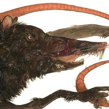 А. Толстой «Золотой ключик, или приключения Буратино»