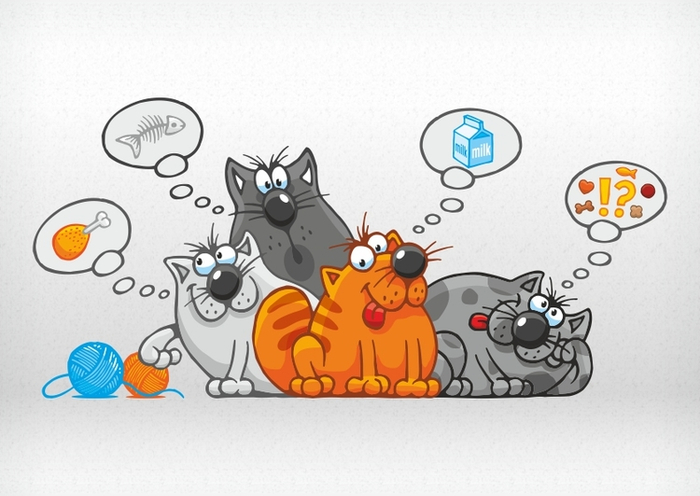 Коты и их мысли
