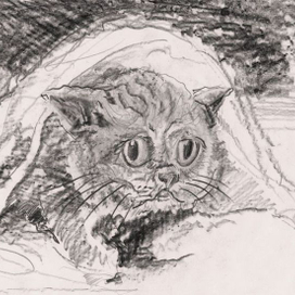 Мне не страшно темноты, но под одеялом...