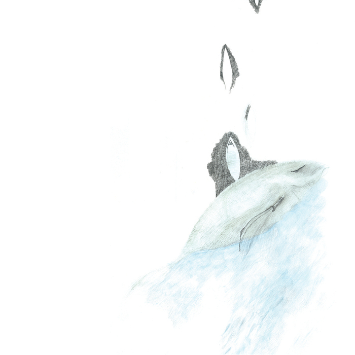 Сны. Ли Юнас "Волшебная рыба"