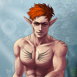 Эльф и его кот