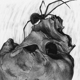 Паучий череп