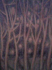 Сверкалось