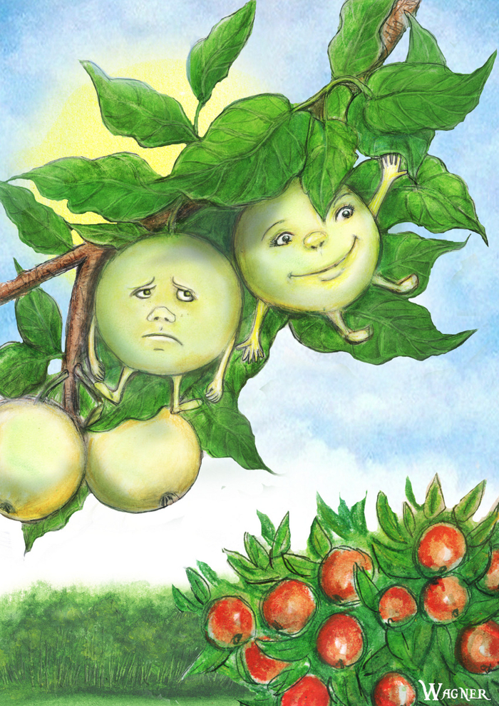 Антоновка для книги К. Гиезе 