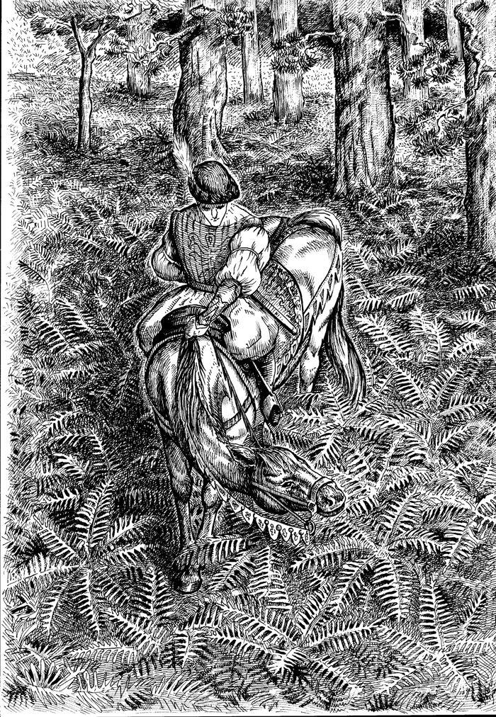 папоротник