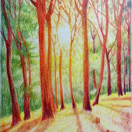 Солнце в лесу_цв каранд