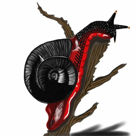 Улитка Дракула