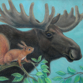 "Бельчонок и Лосяра"