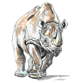 Бегущий Носорог