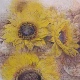 Солнечные цветы