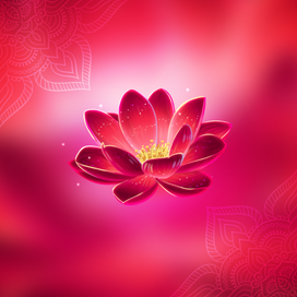 Лотус - Подарок ОК