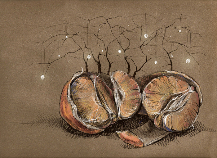 Зимние огни