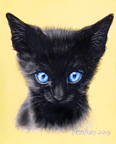 будущий ведьмин кот