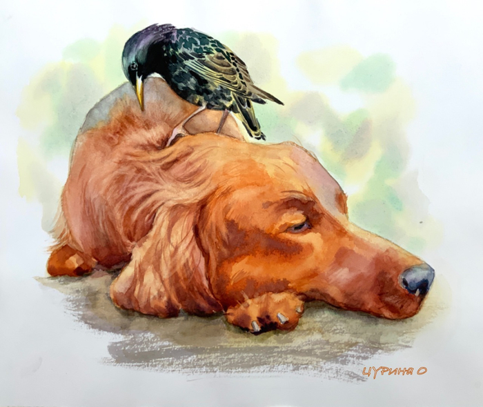 Чир Чирыч и Джек