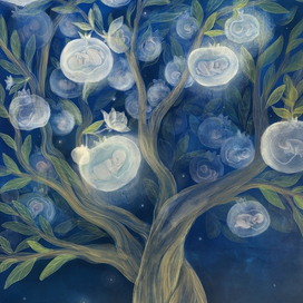 Сияющий плод