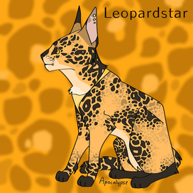 Leopardstar