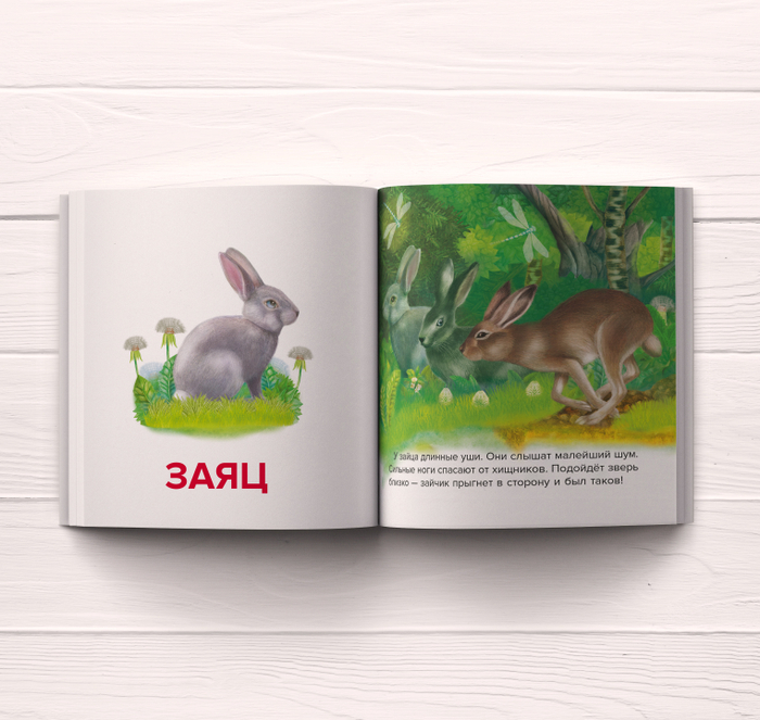 Книга "Первые слова"