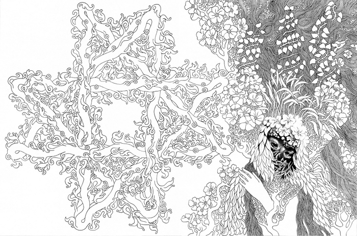 Звезда Сулеймана