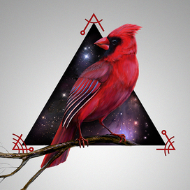 Cardinal