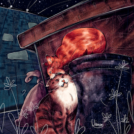 Бродячие коты 