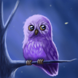 Owl