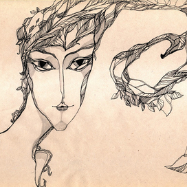 (без названия)