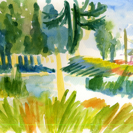 Солнечность