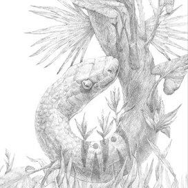 Змей. К "Повелителю мух"