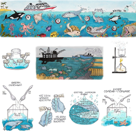 для детского журнала "Кот в мешке", статья о составе воды в морях и океанах