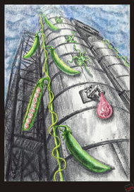 Новая жизнь