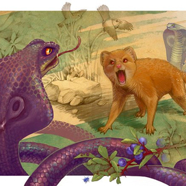 Рикки - Тикки - Тави